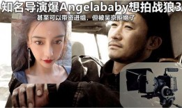 明星的最新爆料视频,揭秘幕后故事与真实情感